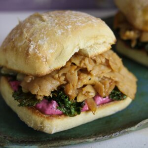 Thanksgiving Turkey Sandwich with Cranberry Aioli & Kale Chips